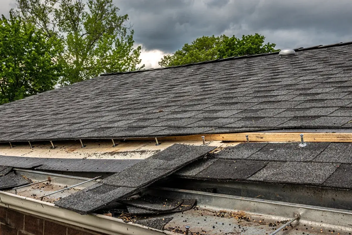 Grey shingles creased and torn away by straight line wind
